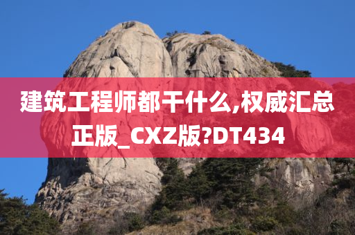 建筑工程师都干什么,权威汇总正版_CXZ版?DT434