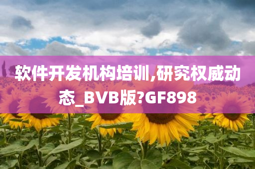 软件开发机构培训,研究权威动态_BVB版?GF898