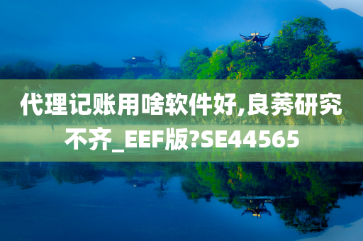 代理记账用啥软件好,良莠研究不齐_EEF版?SE44565