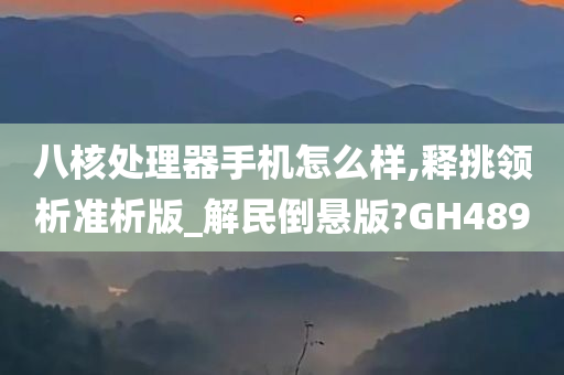 八核处理器手机怎么样,释挑领析准析版_解民倒悬版?GH489