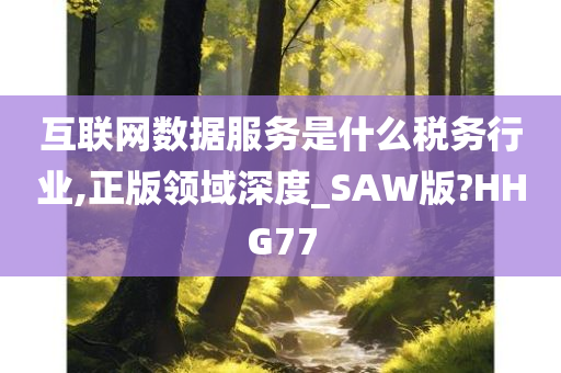 互联网数据服务是什么税务行业,正版领域深度_SAW版?HHG77