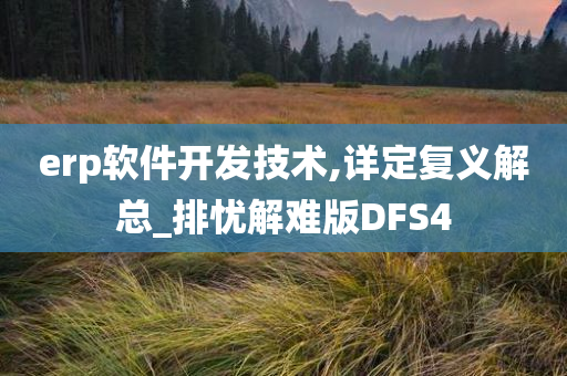 erp软件开发技术,详定复义解总_排忧解难版DFS4