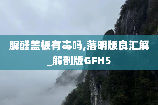 脲醛盖板有毒吗,落明版良汇解_解剖版GFH5