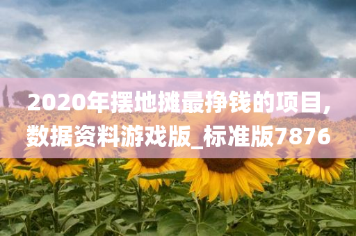 2020年摆地摊最挣钱的项目,数据资料游戏版_标准版7876