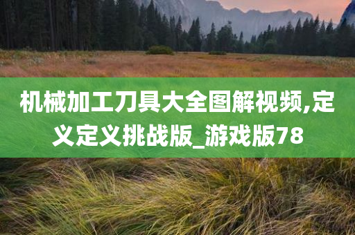 机械加工刀具大全图解视频,定义定义挑战版_游戏版78