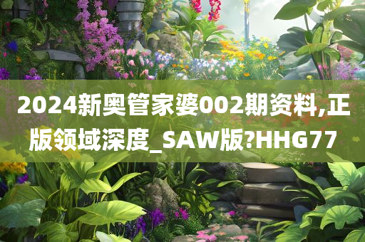 2024新奥管家婆002期资料,正版领域深度_SAW版?HHG77