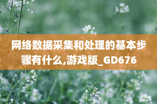 网络数据采集和处理的基本步骤有什么,游戏版_GD676