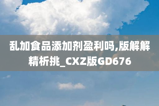 乱加食品添加剂盈利吗,版解解精析挑_CXZ版GD676