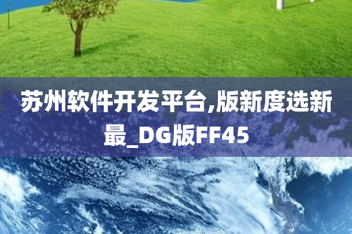 苏州软件开发平台,版新度选新最_DG版FF45