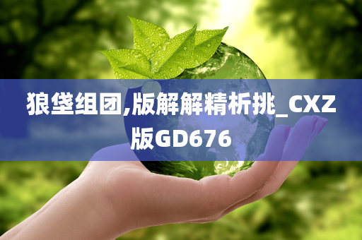 狼垡组团,版解解精析挑_CXZ版GD676