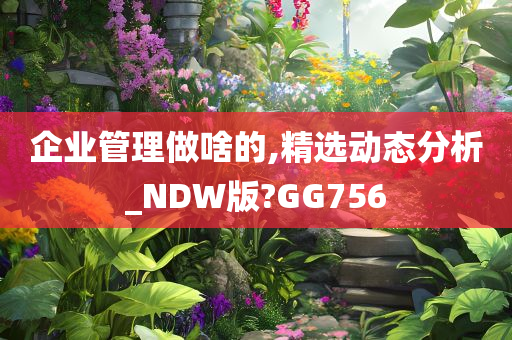 企业管理做啥的,精选动态分析_NDW版?GG756