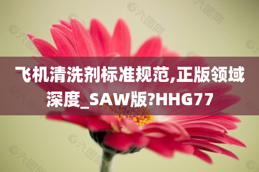 飞机清洗剂标准规范,正版领域深度_SAW版?HHG77