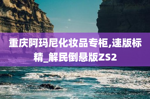 重庆阿玛尼化妆品专柜,速版标精_解民倒悬版ZS2