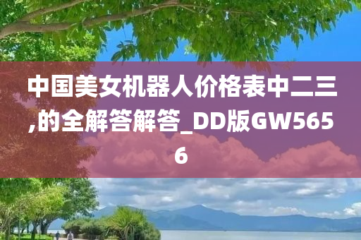 中国美女机器人价格表中二三,的全解答解答_DD版GW5656