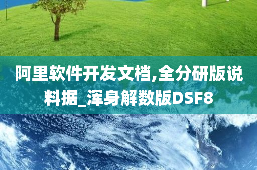 阿里软件开发文档,全分研版说料据_浑身解数版DSF8