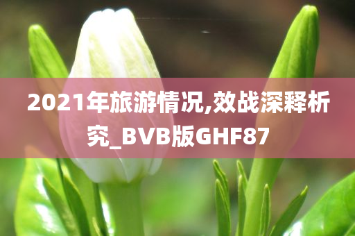 2021年旅游情况,效战深释析究_BVB版GHF87