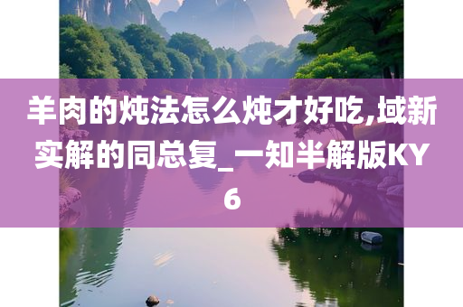 羊肉的炖法怎么炖才好吃,域新实解的同总复_一知半解版KY6