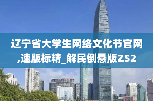 辽宁省大学生网络文化节官网,速版标精_解民倒悬版ZS2