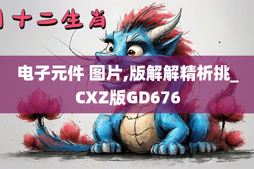 电子元件 图片,版解解精析挑_CXZ版GD676