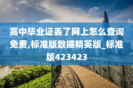 高中毕业证丢了网上怎么查询免费,标准版数据精英版_标准版423423