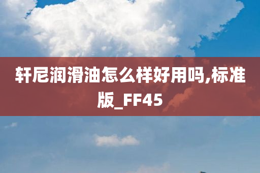 轩尼润滑油怎么样好用吗,标准版_FF45