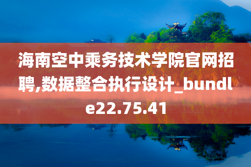 海南空中乘务技术学院官网招聘,数据整合执行设计_bundle22.75.41