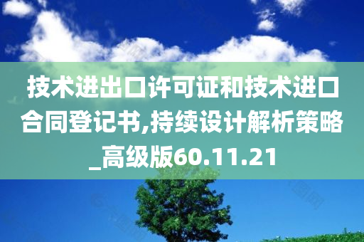 技术进出口许可证和技术进口合同登记书,持续设计解析策略_高级版60.11.21