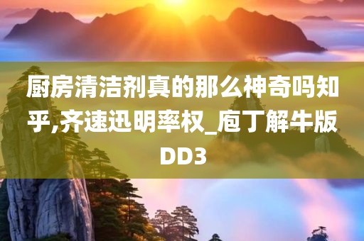 厨房清洁剂真的那么神奇吗知乎,齐速迅明率权_庖丁解牛版DD3