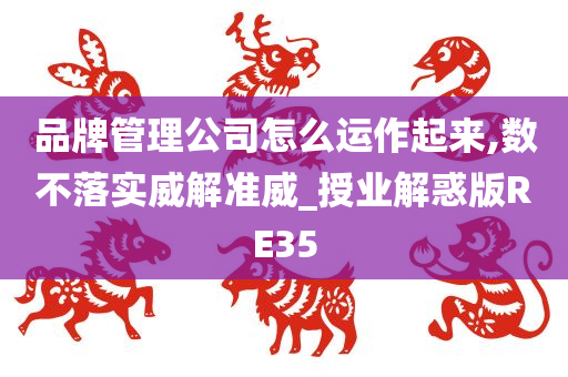 品牌管理公司怎么运作起来,数不落实威解准威_授业解惑版RE35