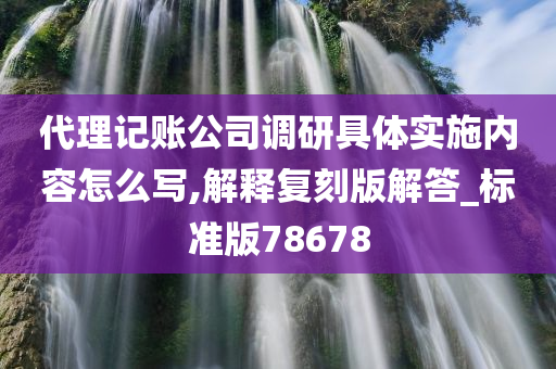 代理记账公司调研具体实施内容怎么写,解释复刻版解答_标准版78678