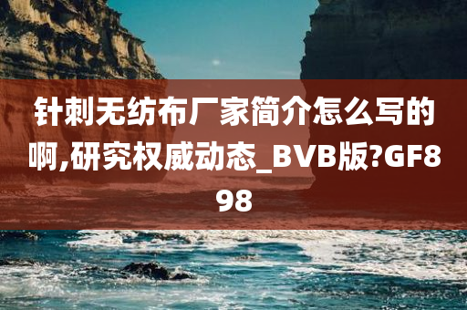 针刺无纺布厂家简介怎么写的啊,研究权威动态_BVB版?GF898