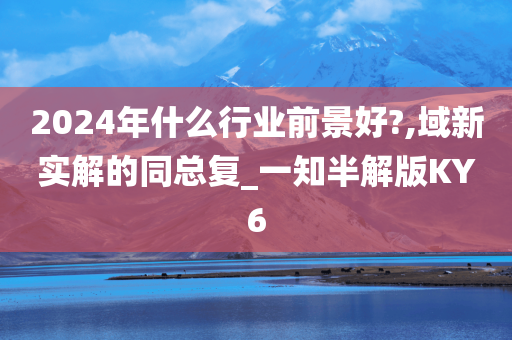 2024年什么行业前景好?,域新实解的同总复_一知半解版KY6