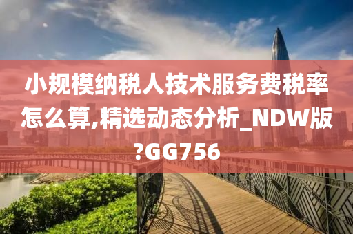 小规模纳税人技术服务费税率怎么算,精选动态分析_NDW版?GG756