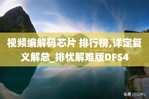 视频编解码芯片 排行榜,详定复义解总_排忧解难版DFS4