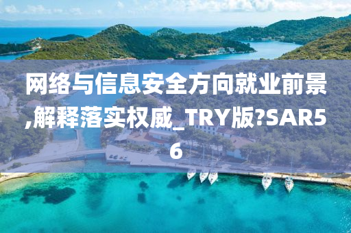 网络与信息安全方向就业前景,解释落实权威_TRY版?SAR56