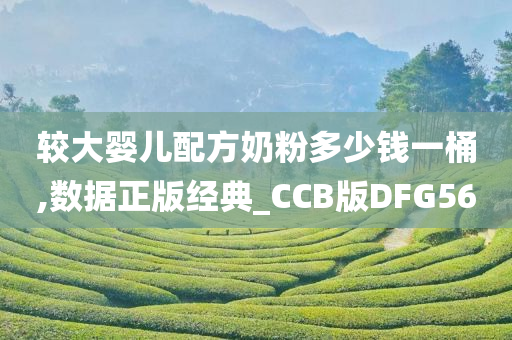 较大婴儿配方奶粉多少钱一桶,数据正版经典_CCB版DFG56