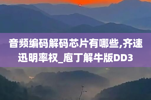 音频编码解码芯片有哪些,齐速迅明率权_庖丁解牛版DD3