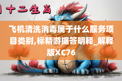 飞机清洗消毒属于什么服务项目类别,标精游据答明释_解释版XC76