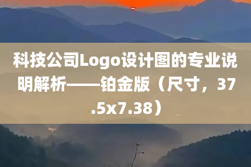 科技公司Logo设计图的专业说明解析——铂金版（尺寸，37.5x7.38）