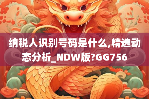 纳税人识别号码是什么,精选动态分析_NDW版?GG756