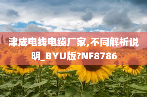 津成电线电缆厂家,不同解析说明_BYU版?NF8786