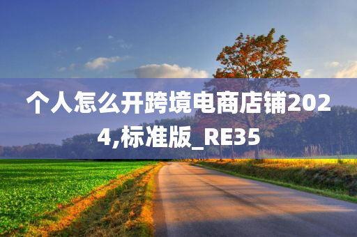 个人怎么开跨境电商店铺2024,标准版_RE35