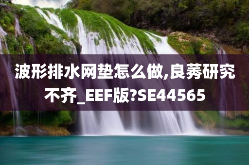 波形排水网垫怎么做,良莠研究不齐_EEF版?SE44565