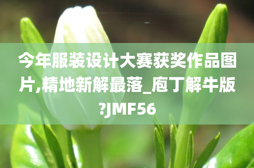 今年服装设计大赛获奖作品图片,精地新解最落_庖丁解牛版?JMF56