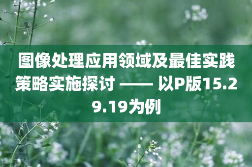 图像处理应用领域及最佳实践策略实施探讨 —— 以P版15.29.19为例