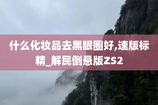 什么化妆品去黑眼圈好,速版标精_解民倒悬版ZS2