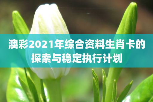 澳彩2021年综合资料生肖卡的探索与稳定执行计划