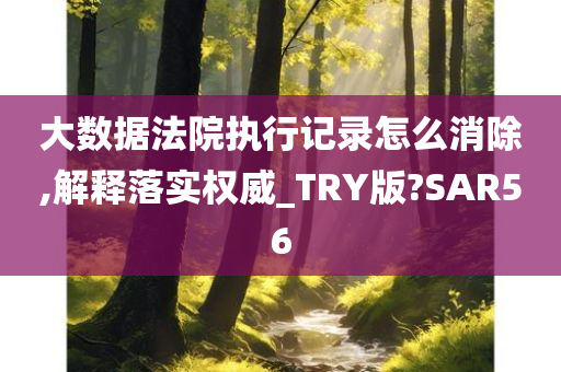 大数据法院执行记录怎么消除,解释落实权威_TRY版?SAR56