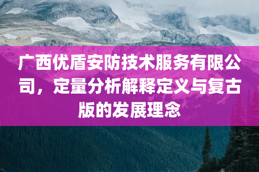 广西优盾安防技术服务有限公司，定量分析解释定义与复古版的发展理念