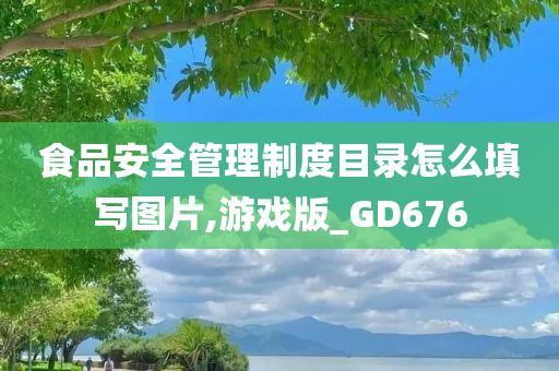 食品安全管理制度目录怎么填写图片,游戏版_GD676